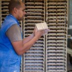 Richard Miller at Froyles Tiles 2017